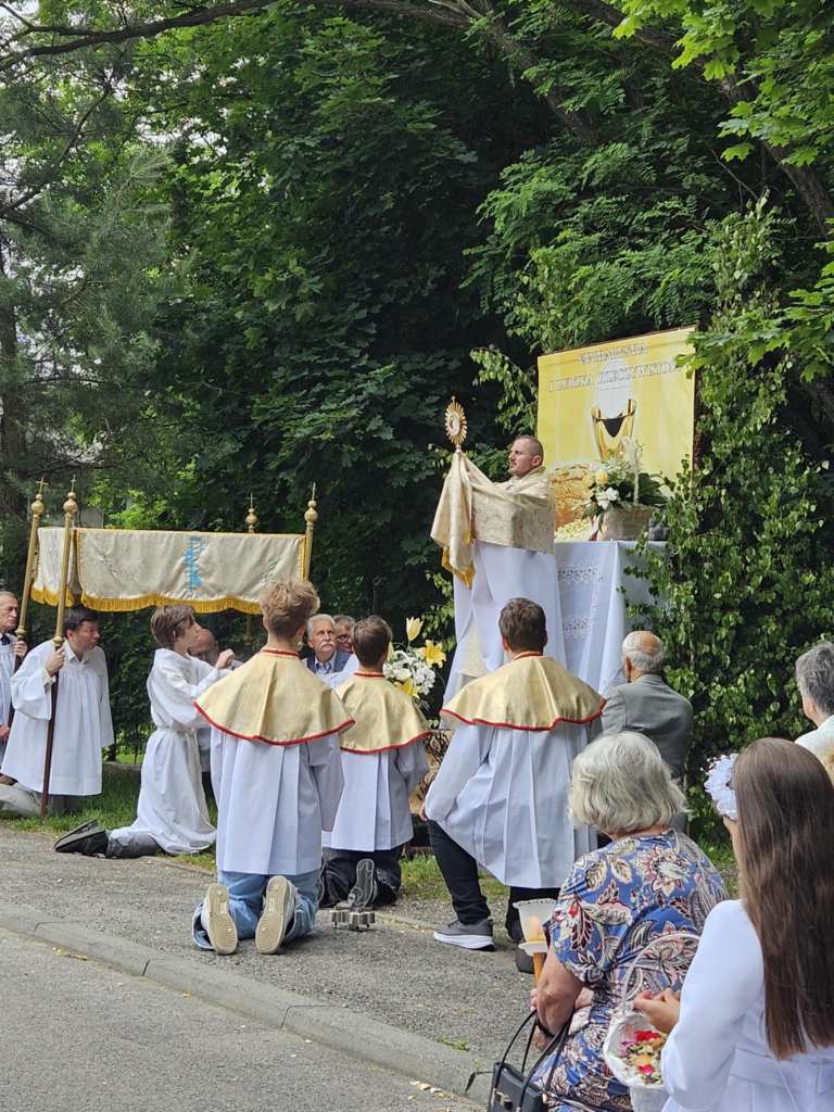 autor: Anna Głowacz